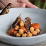 ¿Por qué es interesante incorporar insectos comestibles a nuestra dieta?