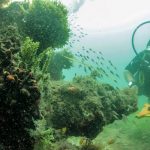 España y México buscarán juntos un enigmático galeón hundido en 1631 con más de un millón de pesos en sus bodegas