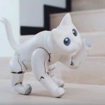Presentan a MarsCat, la gata robótica que puede ser juguetona o ignorar a su dueño según cómo la trate