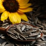 Estas semillas provenientes de América aportan múltiples beneficios a nuestro cuerpo