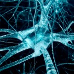 Intel Loihi, el primer procesador inspirado en el cerebro humano