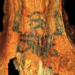 Este torso tatuado pudo pertenecer a una bruja egipcia
