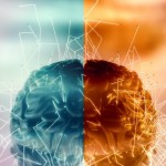 ¿Cuál es la diferencia entre el lado derecho y el izquierdo del cerebro?