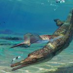 Descubren un ancestro de los cocodrilos que vivía en el mar hace 185 millones de años