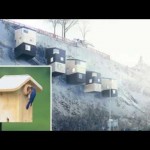 Diseñan casas inspiradas en casas de pájaros a falta de espacio