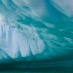 ¡Vida bajo el hielo de la Antártida!