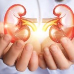 Partes de tu cuerpo que no necesitas para vivir