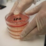 Medicina regenerativa ¿El futuro de la cirugía plástica?