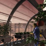 Así afecta la gravedad de Marte a las plantas