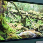 El consorcio japonés JOLED muestra tres nuevos paneles OLED para monitores de PC