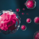 Innovadora terapia de anticuerpos promete rejuvenecer el sistema inmunológico