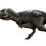 El mayor mito sobre el T-rex puede ser falso: sus pequeños brazos sí tenían un cometido, y era salvaje y sangriento
