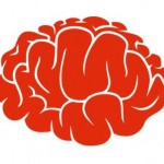 17 preguntas sobre Neurociencias, y sus respuestas