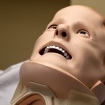 Neofobia (miedo a lo nuevo): síntomas, causas y tratamiento