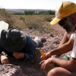 Hallan una nueva especie de dinosaurio en Neuquén