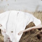 La levitación de seres humanos, cada vez más cerca