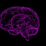 El libre albedrío funciona gracias a nuestro cerebro