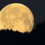¿De quién es la Luna? Expertos discuten en Alemania normas para la explotación del espacio