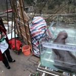El mayor anfibio del mundo, en grave peligro de extinción por ser un manjar