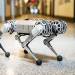 Se llama Mini Cheetah, es un robot de cuatro patas y sabe dar saltos mortales
