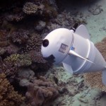 ‘SoFi’, el fantástico pez robot del MIT que busca revelar los misterios de los océanos