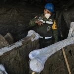 Hallazgos en México podrían resolver el misterio de la extinción de los mamuts