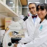 Investigadores en México controlarían el Alzheimer con la microbiota intestinal