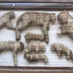 MOMIAS DE LEONES, COCODRILOS Y GATOS SON DESENTERRADOS EN EGIPTO