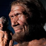 ¿Desaparecieron los neandertales por comer demasiada carne?