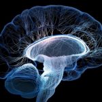 Un medicamento para el Parkinson reduce los efectos de la inflamación en el cerebro en la depresión