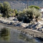 Por qué una playa de Grecia ha amanecido cubierta con más de 300 metros de telaraña