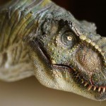 Un estudio cuestiona que el tiranosaurio rex pudiese rugir