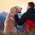 Las 15 diferencias entre tú y tu perro