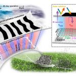 Novedoso generador termoeléctrico, inspirado en la piel de cebra