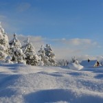 ¿Por qué la nieve es blanca?