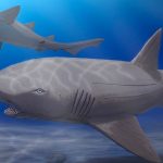 Enigma resuelto: Descubren cómo era un tiburón prehistórico
