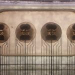 El primer bioprocesador del mundo disponible online, tiene 16 minicerebros vivos