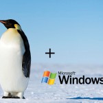  Q4OS una distro de Linux que clona el aspecto de Windows XP