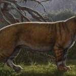 Descubrieron una nueva especie de mamífero gigante: el Simbakubwa kutokaafrika