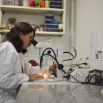 Nueva técnica de microscopía con rayos X