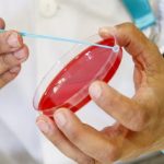 Descubren cómo el virus del COVID-19 se comunica con las células humanas