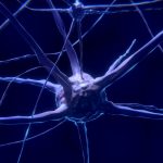 ¿Un nuevo sentido?: qué es la optocepción, el concepto que indaga en las manipulaciones cerebrales