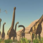 Un nuevo estudio revela que el Supersaurus es el animal más grande que ha caminado sobre la Tierra