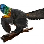 En el Jurásico también había dinosaurios del tamaño de una gallina con plumaje iridiscente para el cortejo