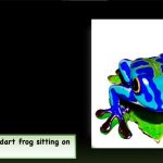 NVIDIA crea magic3D, su IA de texto a imagen