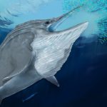 Arrojan luz sobre los fósiles de unos gigantescos reptiles marinos hallados a 2.800 metros de altitud en los Alpes