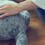 Inventan un gato robótico para superar la ansiedad