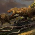 Nueva especie de tiranosaurio se muestra como ancestro de T.Rex