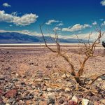 El Valle de la Muerte alcanza temperaturas récord
