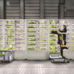 ¿Vegetales de interior con más nutrientes y sabor? La clave es la luz